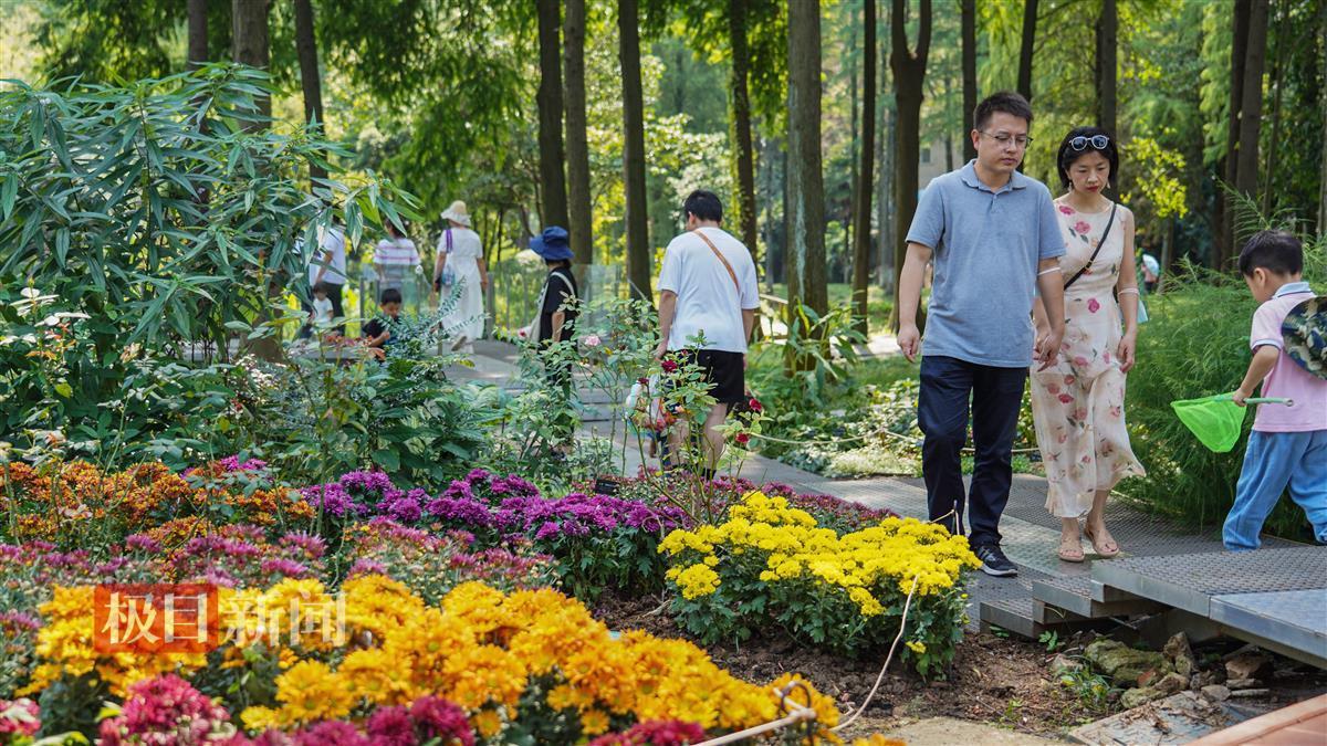 金典娱乐平台送58